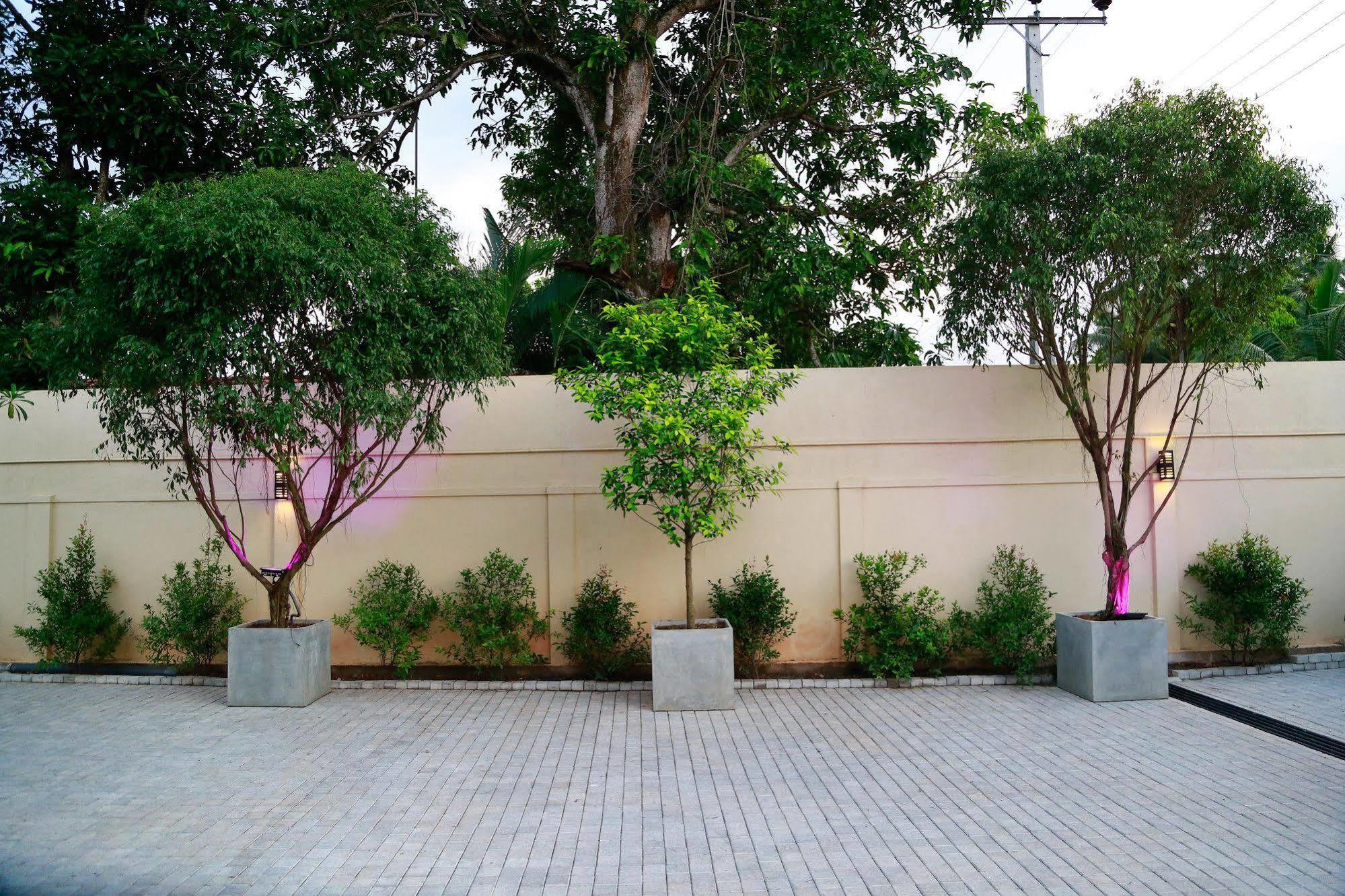 מלון Tranquil Negombo Boutique מראה חיצוני תמונה